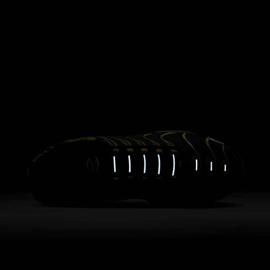 Air Max Plus Erkek Sneaker Ayakkabı